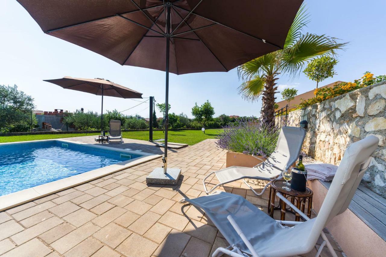 Apartment Alex زادار المظهر الخارجي الصورة