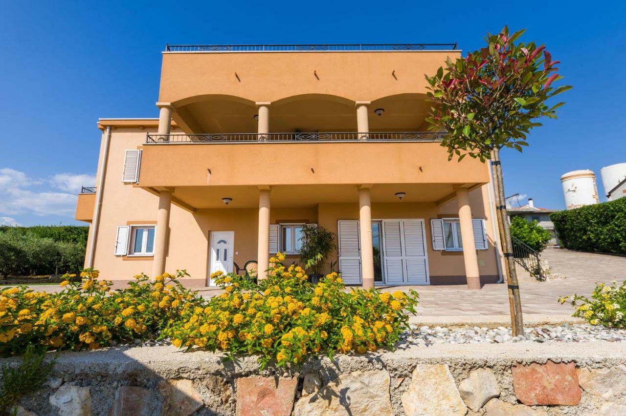 Apartment Alex زادار المظهر الخارجي الصورة