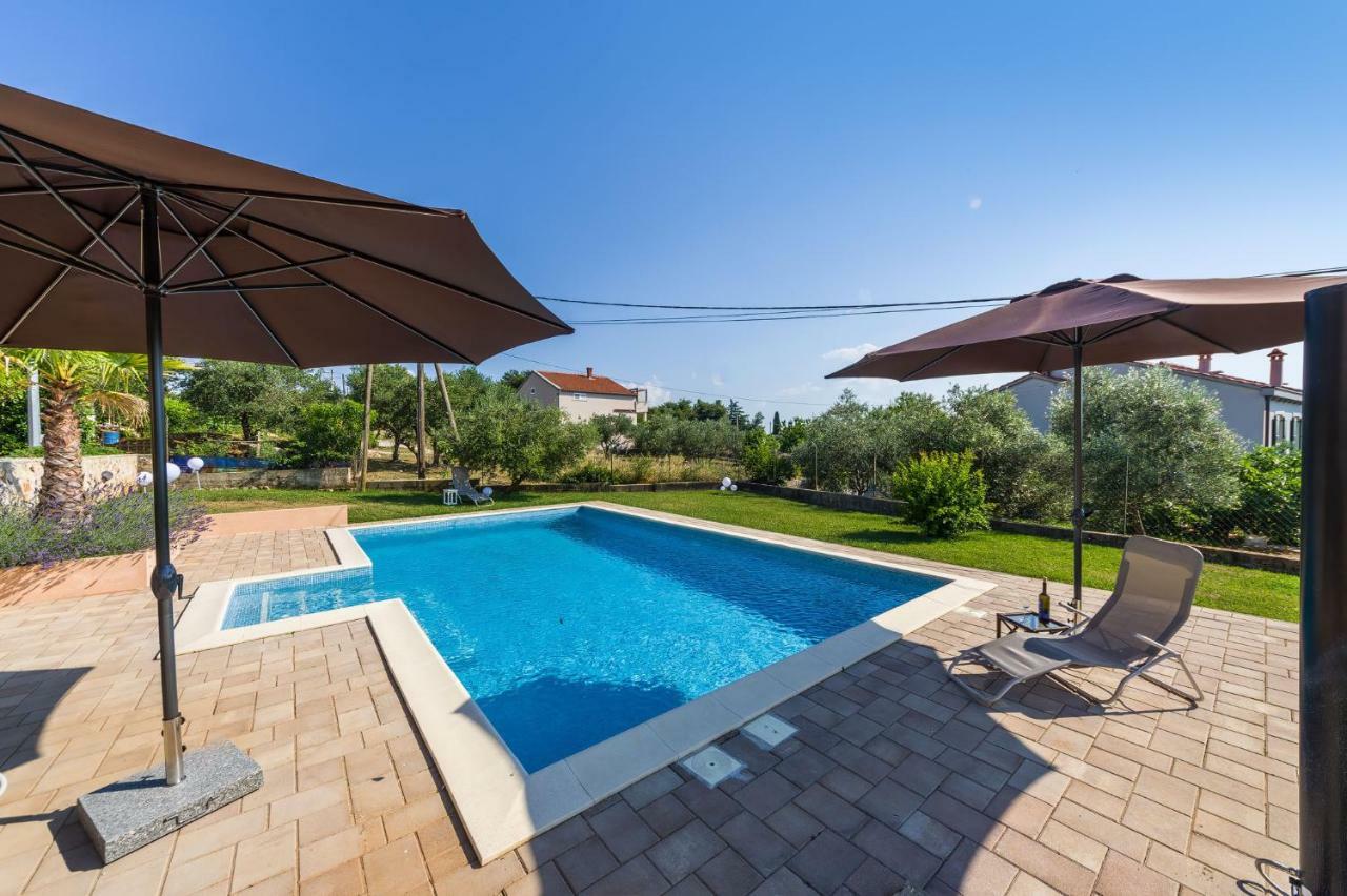 Apartment Alex زادار المظهر الخارجي الصورة